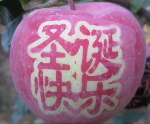 深联HDI线路板厂平安果大放送~