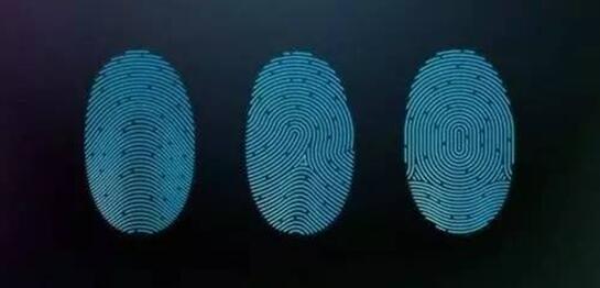 指纹识别软硬结合板：为何华为将指纹识别放在背面？