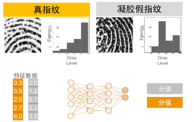 指纹识别软硬结合板支招假指纹识别技术