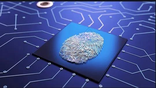 指纹识别软硬结合板之人脸识别和指纹识别哪个可具量化性？